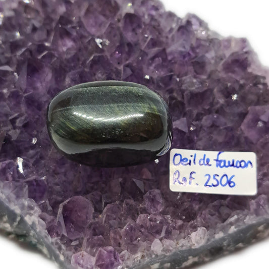 Œil de Faucon – Réf. 2506 - Vision, discernement & protection