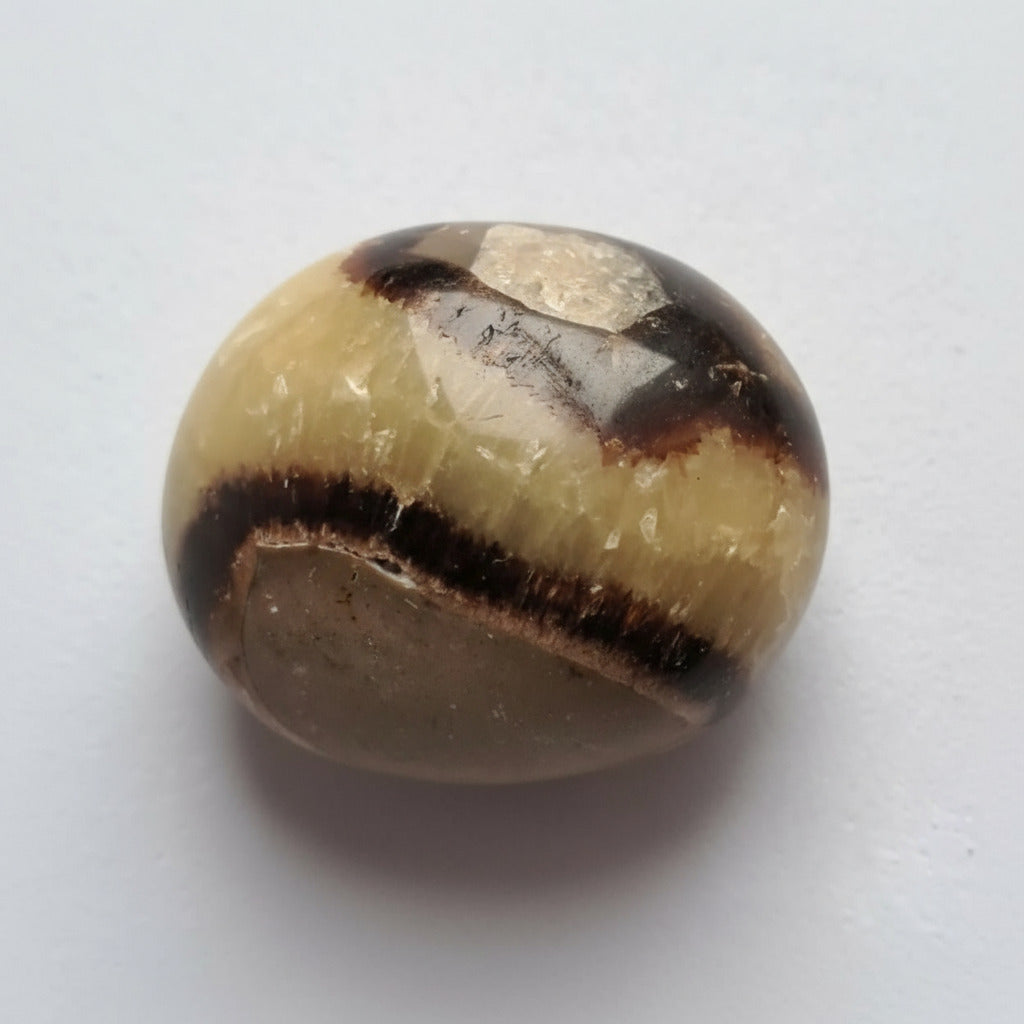 Pierre Roulée Septaria – Réf. 2508 -Septaria –Pierre d’ancrage, de stabilité et de confiance.