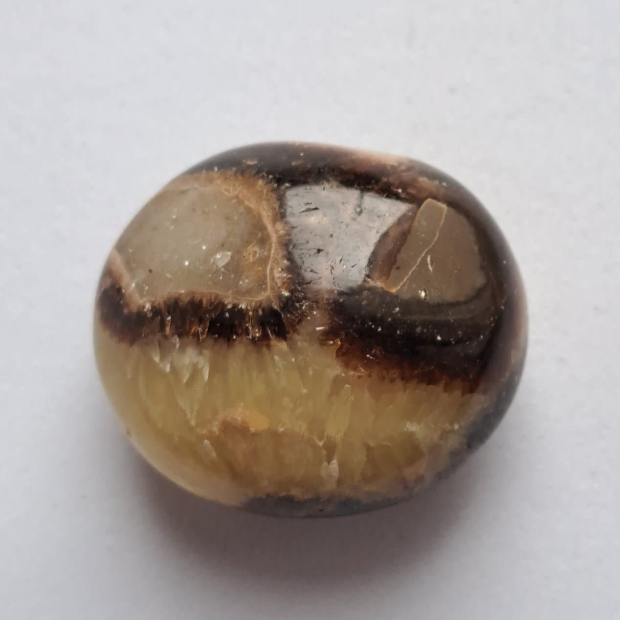 Pierre Roulée Septaria – Réf. 2508 -Septaria –Pierre d’ancrage, de stabilité et de confiance.