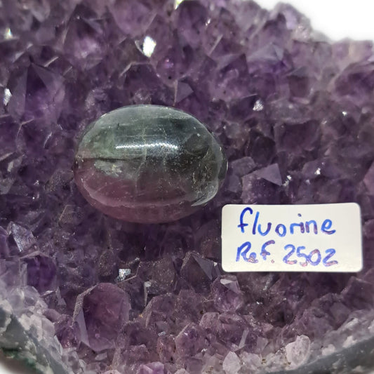 Fluorine – Réf. 2502 - Clarté, organisation & harmonie mentale.
