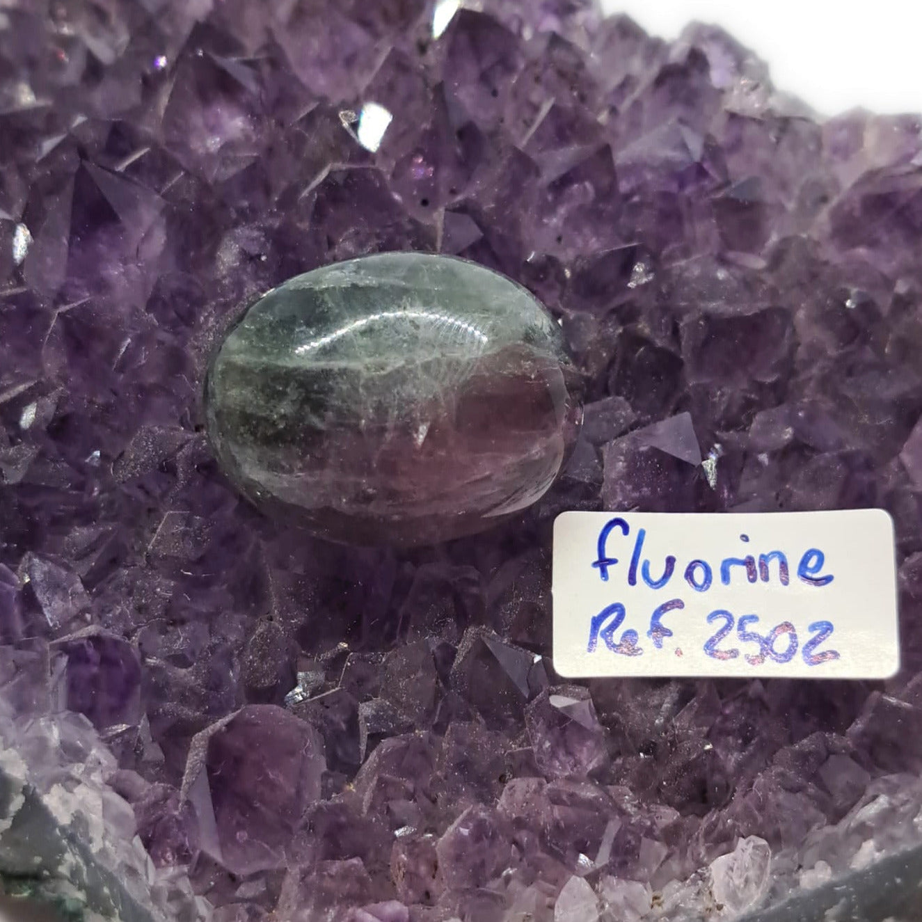 Fluorine – Réf. 2502 - Clarté, organisation & harmonie mentale.