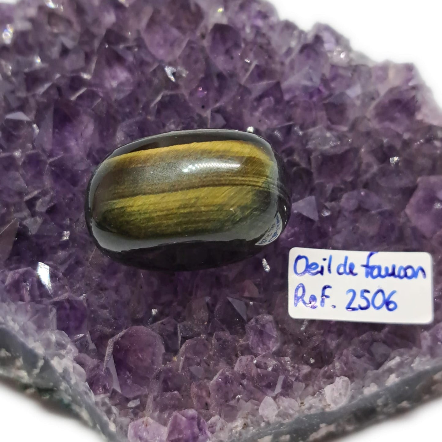 Œil de Faucon – Réf. 2506 - Vision, discernement & protection