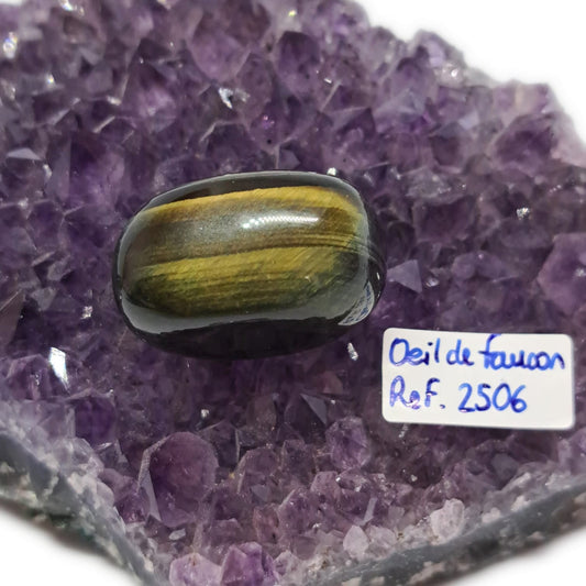Œil de Faucon – Réf. 2506 - Vision, discernement & protection