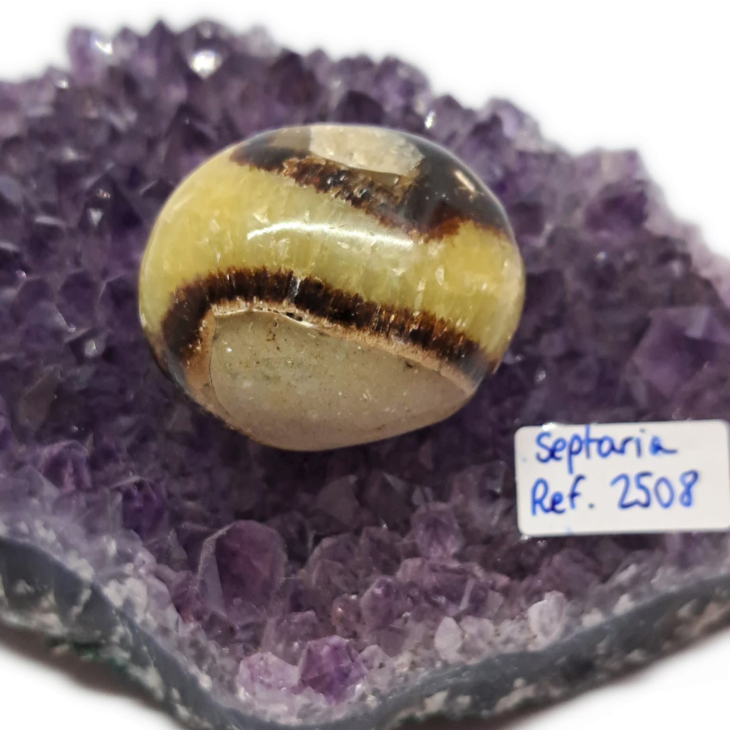 Pierre Roulée Septaria – Réf. 2508 -Septaria –Pierre d’ancrage, de stabilité et de confiance.